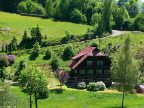 Cozy Apartment in Bad Rippoldsau Schapbach with a view